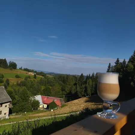 Gladyszowka - W Gorcach * Ponice