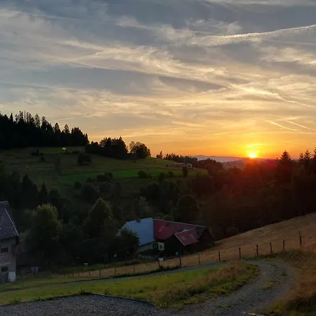 Gladyszowka - W Gorcach Holiday home *