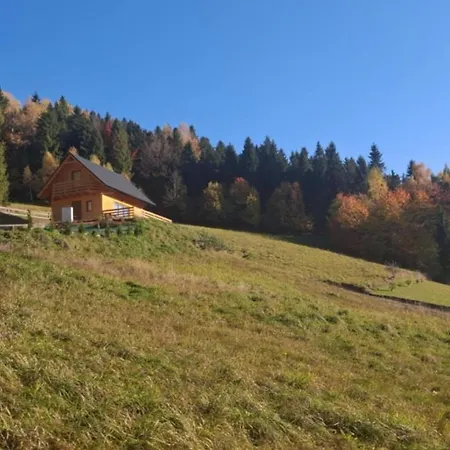 Gladyszowka - W Gorcach Holiday home *