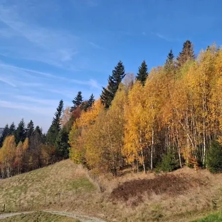 Semesterbostad Gladyszowka - W Gorcach