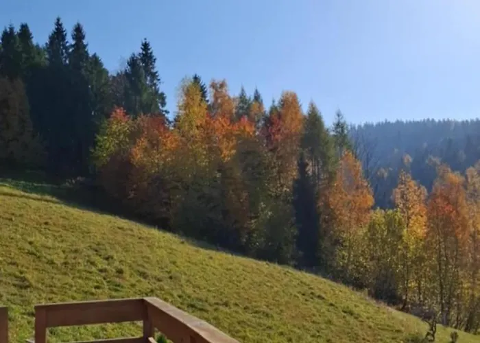 Gładyszówka - W Gorcach *